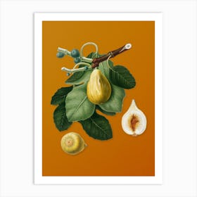 Vintage Common Fig Botanical on Sunset Orange n.0929 Art Print