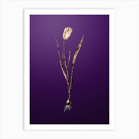 Gold Botanical Lady Tulip on Royal Purple n.1010 Art Print