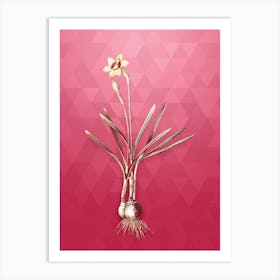 Vintage Narcissus Gouani Botanical in Gold on Viva Magenta n.0730 Art Print