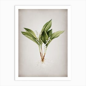 Vintage Lily of the Valley Botanical on Parchment n.0083 Art Print