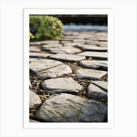 Stone Walkway Art Print