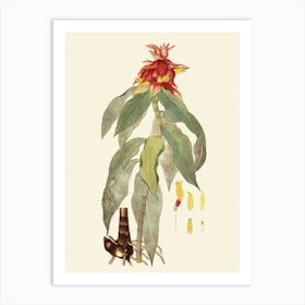 Hibiscus 66 Art Print