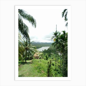 View Of A Tropical Forest Art Print