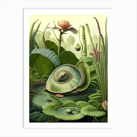 Garden Snail In Wetlands Botanical Art Print