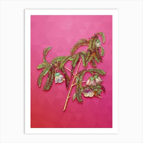 Vintage Spaendoncea Tamarandifolia Botanical Art on Beetroot Purple Art Print