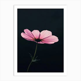 Pink Cosmos Flower 7 Art Print