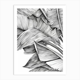 Banana Leaves 18 Art Print