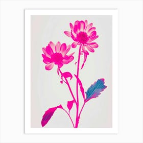 Hot Pink Asters 3 Art Print