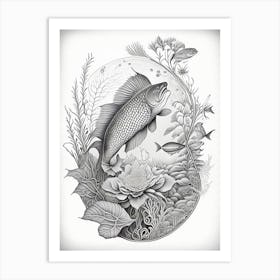 Kin Ki Bekko Koi Fish Haeckel Style Illustastration Art Print
