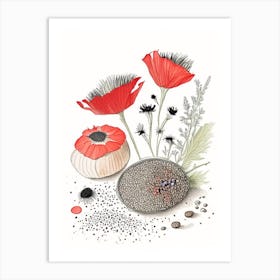 Poppy Seeds Spices And Herbs Pencil Illustration 4 Art Print