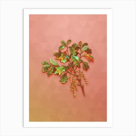 Vintage Bear Oak Botanical Art on Peach Pink n.1446 Art Print