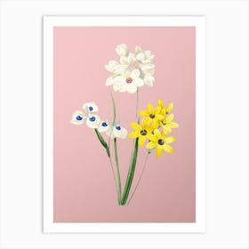 Vintage Corn Lily Botanical on Soft Pink n.0647 Art Print