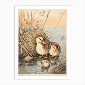 Ducklings With Pond Weed Japanese Woodblock Style 1 Art Print