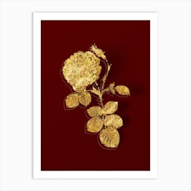 Vintage White Rose of York Botanical in Gold on Red 1 Art Print