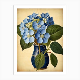 Blue Hydrangeas 1 Art Print