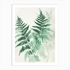 Green Ink Painting Of A Netted Chain Fern 4 Art Print