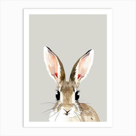 Rabbit Canvas Print 1 Art Print