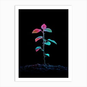 Plant Growing On Black Background 3 Art Print