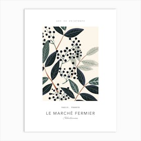 Elderberries Le Marche Fermier Poster 2 Art Print