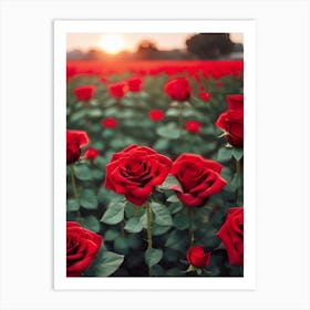 Red Roses At Sunset 2 Art Print