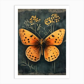 Butterfly On A Flower Art Print