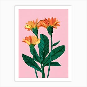 Geraniums Art Print