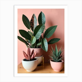 Three Potted Plants Art Print