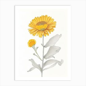 Calendula Floral Quentin Blake Inspired Illustration 1 Flower Art Print