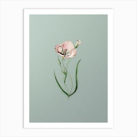 Vintage Satiny Calochortus Flower Branch Botanical Art on Mint Green n.0561 Art Print