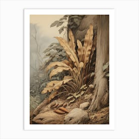 Vintage Jungle Botanical Illustration Banana Plant 3 Art Print