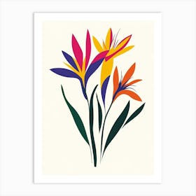 Bird Of Paradise 1 Art Print