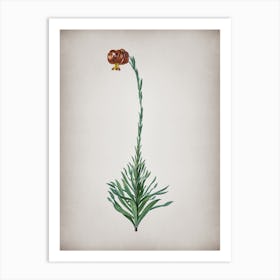 Vintage Scarlet Martagon Lily Botanical on Parchment n.0727 Art Print