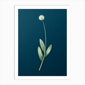 Vintage Victory Onion Botanical Art on Teal Blue n.0629 Art Print