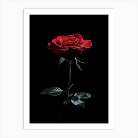 Single Red Rose On Black Background 25 Art Print