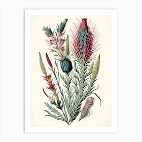 Gayfeather Wildflower Vintage Botanical Art Print