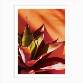 Agave 6 Art Print