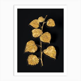 Vintage Quaking Aspen Botanical in Gold on Black n.0431 Art Print