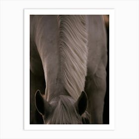 Straight Lines - Belgium horse close up photo print - moody animal photography art Art Print