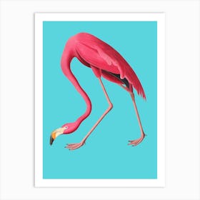 Flamingo Blue Vintage Illustration Pop Art Print