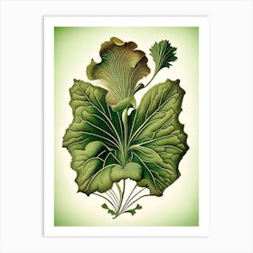 Primrose Leaf Vintage Botanical 2 Art Print