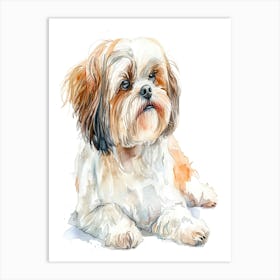 Shih Tzu Watercolor Painting Art Print