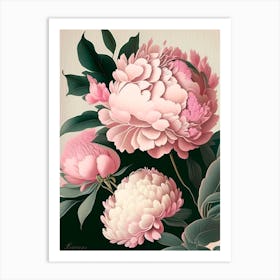 Festiva Maxima Peonies 1 Pink Vintage Sketch Art Print