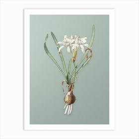 Vintage Sea Daffodil Botanical Art on Mint Green Art Print