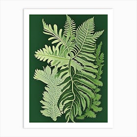 Southern Maidenhair Fern 2 Vintage Botanical Poster Art Print