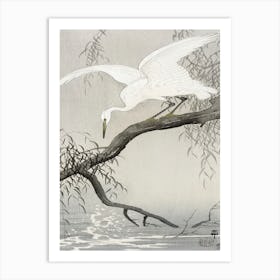 White Heron On Tree Branch (1900 1910), Ohara Koson Art Print