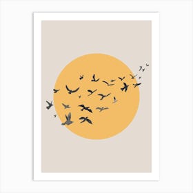 Sun and Flying Birds Affiche