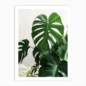 Monstera Plant 1 Art Print