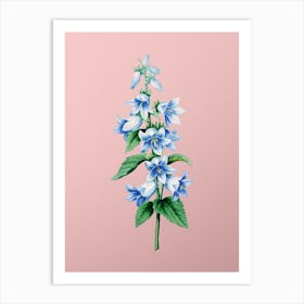 Vintage Bellflowers Botanical on Soft Pink Art Print