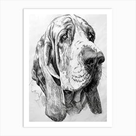 Basset Hound Line Sketch 1 Art Print