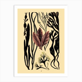 Seaweed 2 Art Print